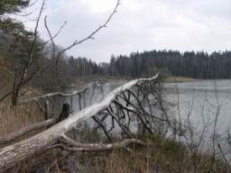 Resize of PICT0106.JPG